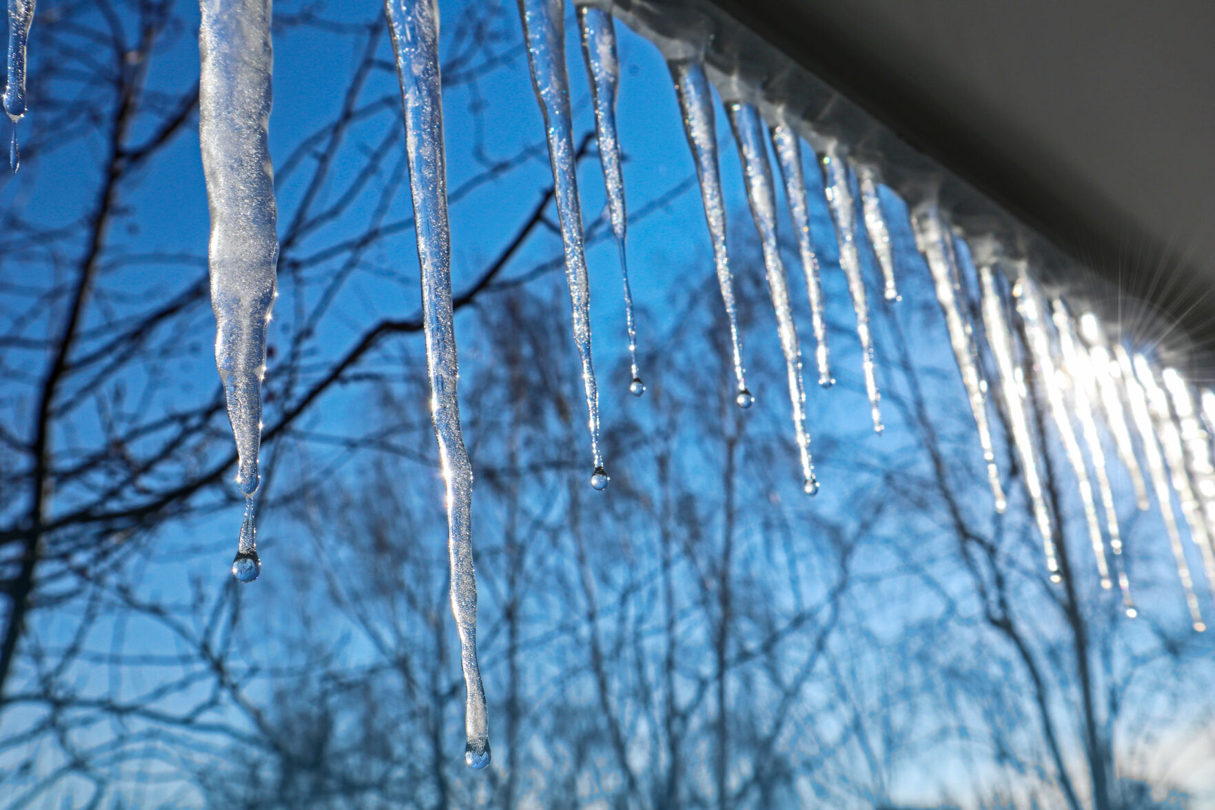 icicles